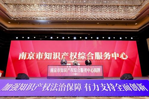 激活知識(shí)產(chǎn)權(quán)內(nèi)生動(dòng)力，南京以高質(zhì)量服務(wù)賦能經(jīng)濟(jì)社會(huì)騰飛